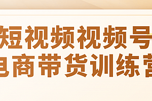 短视频视频号电商带货训练营