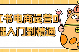 小红书电商运营0基础入门到精通